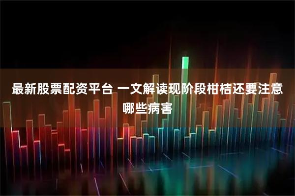 最新股票配资平台 一文解读现阶段柑桔还要注意哪些病害